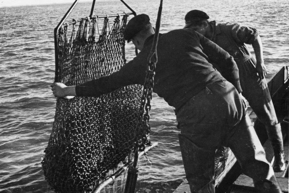 Fischer mit Dredge, wie sie in der Austernfischerei eingesetzt wurde.