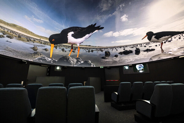 Der Syltdome – Das 360-Grad-Kino in List auf Sylt